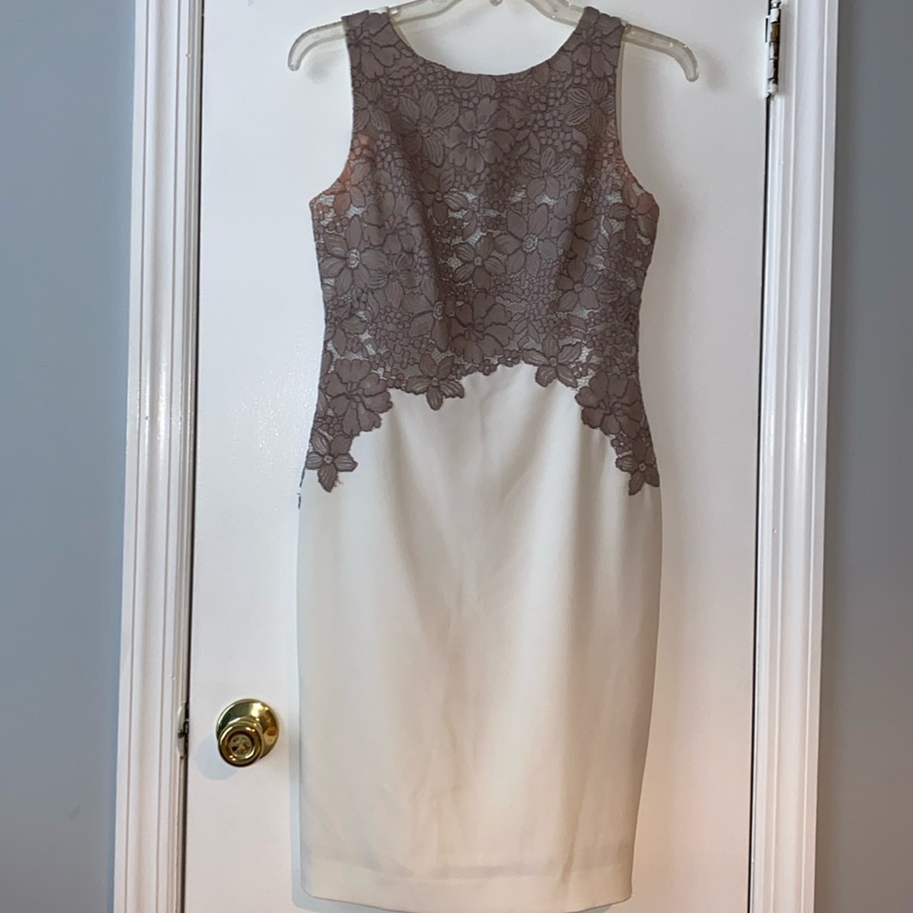 Lace Bodycon Dress